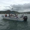 Bottom Fishing Tour